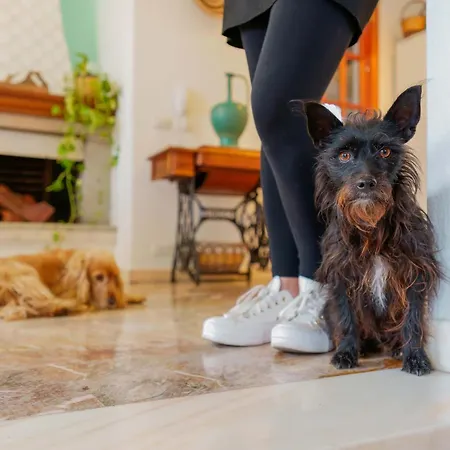 Bed & Breakfast Bb 1987 4*