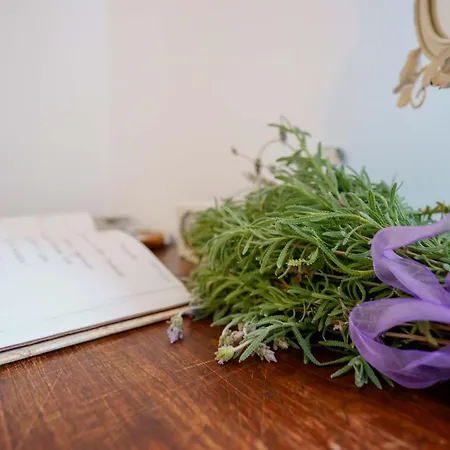 Bb 1987 住宿加早餐酒店