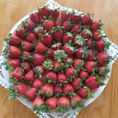 Nocleg ze śniadaniem Bb 1987 Pula