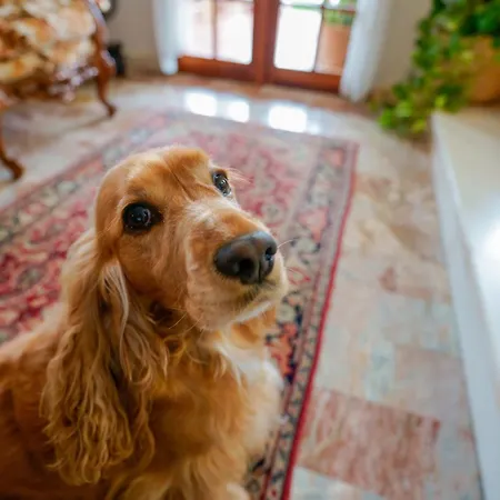 Nocleg ze śniadaniem Bb 1987