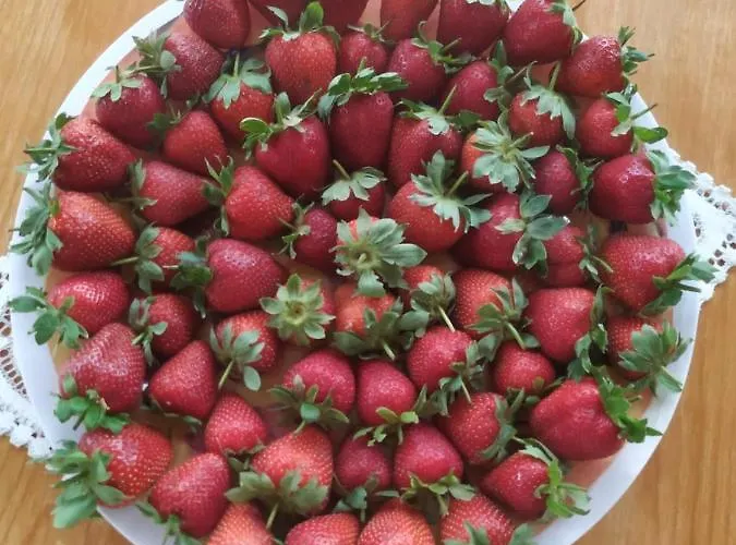 Frühstückspension Bb 1987 Pula