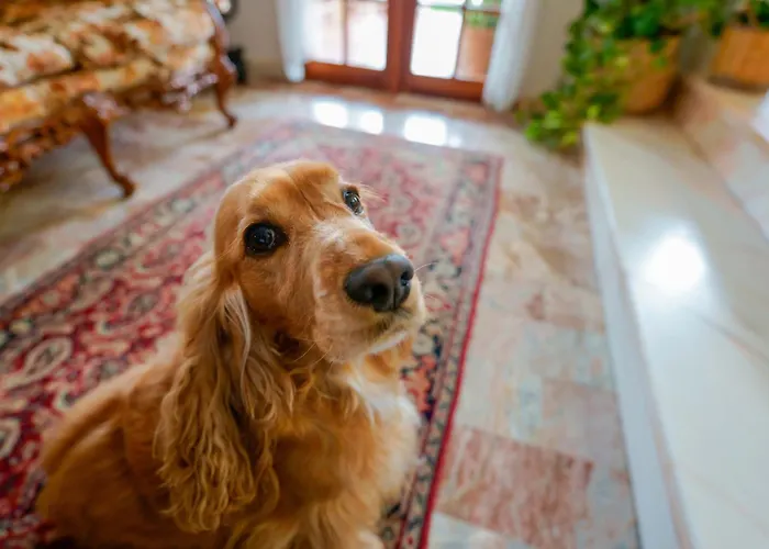 Frühstückspension Bb 1987