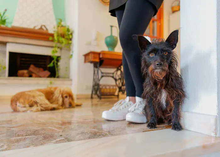 Frühstückspension Bb 1987 4*